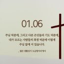 공현 Daum카페