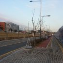 엘에이치몰 이미지