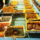 선장경로당 이미지