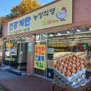 유정농장 | 양평맛집 계란이 맛있는 농장직영 건강계란 내돈내산 후기