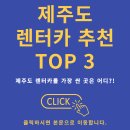 제주도 렌터카 추천 TOP 3 이미지