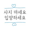 반려동물 수제간식 태식당 이미지