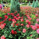 장미원공인중개사사무소 이미지