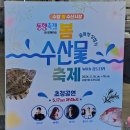 돌핀스수산