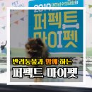 퍼펙트 마이펫 | 대전 2019년 반려동물과 함께 즐길 수 있는 <퍼펙트 마이펫> 다녀온 후기!