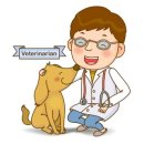 김해동물메디컬센터 이미지