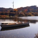 벌곡오토캠핑장 이미지