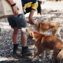 아이펫 동물병원 이미지