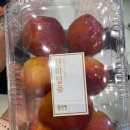 소영치과의원 이미지