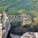 베드로낚시 | 장성호 워킹낚시 봄 런커 배스 알자리 공략 방법
