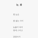 눈봄