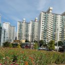 가재울 공원 이미지