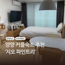 지오프론트 | 양양 커플숙소 추천 ‘지오 파인트리’ 강원도 커플펜션, 오션파인 1층 후기