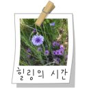 대왕포차 이미지