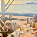 파도횟집 이미지