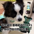 러프웨어 플레그라인 하네스 하이앤라이트 리드줄 솔직 후기