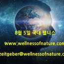 2023공공WiFi-도덕산출렁다리 (옥외1) | 2024년 8월 5일 국내 웰니스 뉴스