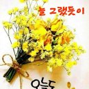 새하얀미용실 - 중구 | 새하얀미용실