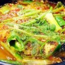 남한강 물고기 이미지