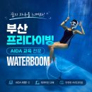 진심교육 - 송파구 삼전로12길 10 | 부산 프리다이빙 정기트레이닝 AIDA 레벨1·레벨2 워터붐 단체 교육 만족 후기