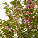 (주) 모노프리 이미지