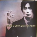나비도꽃이었다 이미지
