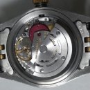 Rolex PC 이미지