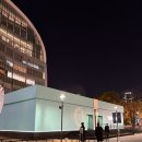 아트비젼광고기획 | [전시] 티파니앤코 무료 전시 'With Love, Seoul' 잠실 팝업 후기