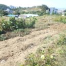 판암동230 이미지