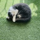 그루밍데이 이미지