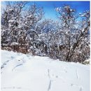 지리산 바래봉(전북학생교육원~세동치~부운치~팔랑치~바래봉삼거리~바래봉~바래봉삼거리~용산허브밸리...