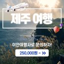 이안여행사