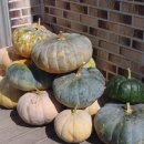 무지개뜨는집민박 이미지