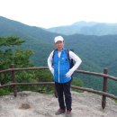 정두환 Daum카페