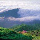 공설운동장 동편화장실 이미지