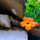 새에덴공인중개사사무소 이미지