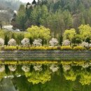 대촌중학교 이미지