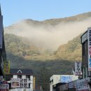 강천산 길 | 전라도 순창 단풍명소 강천산 국립공원 실시간 후기