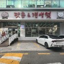 펫존&견생컷 이미지