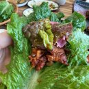(주)키노티시스템