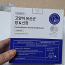 가족사랑상담소 | 윤샘 마이펫상담소 프로젝트21 고양이 유산균 영양제 솔직 급여 후기