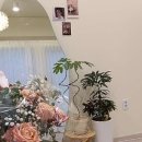 어썸옐로우 네이버블로그