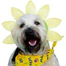 삼성종합동물병원 이미지