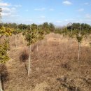 신풍농장 이미지