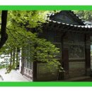 참치사랑 - 미추홀구 인하로247번길 1 | 참치사랑