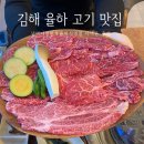 메리몰 펫샵 율하점 | [김해 율하 한우 맛집] 넘버나인한우 율하직영점 다녀온 후기