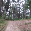 함안 명관리 공룡발자국 이미지