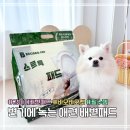 펫# | 변기에 녹는 강아지 배변패드 | 바오바오펫 후기