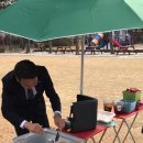 한솔초교 Daum카페