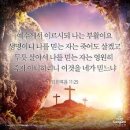 [가정예배] 낮 12시에 다니는 사람. 요11:9-10 이미지